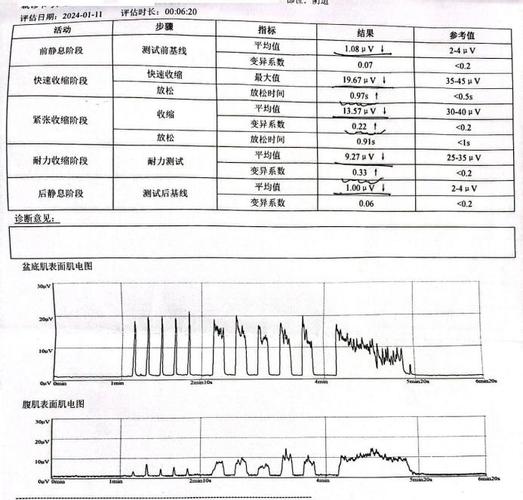 报告单解读