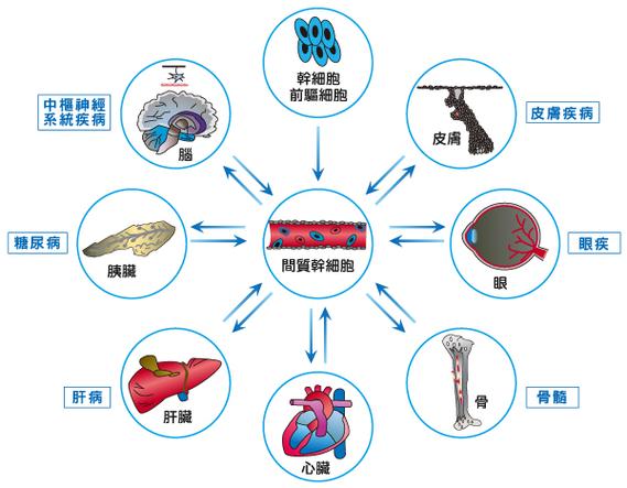  再生医学
