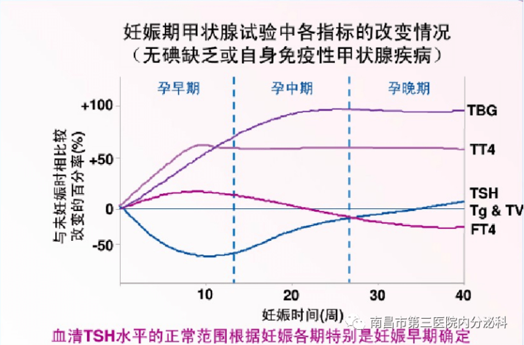 内分泌变化