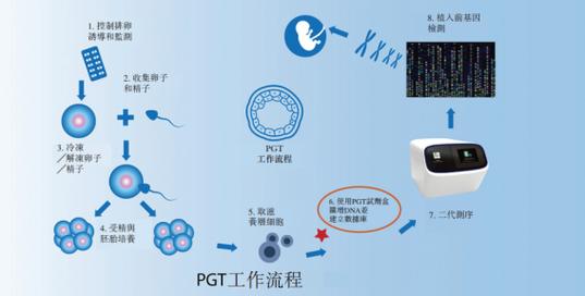  TESE-IVF