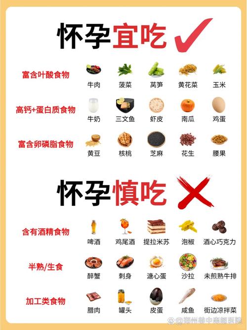  饮食补充