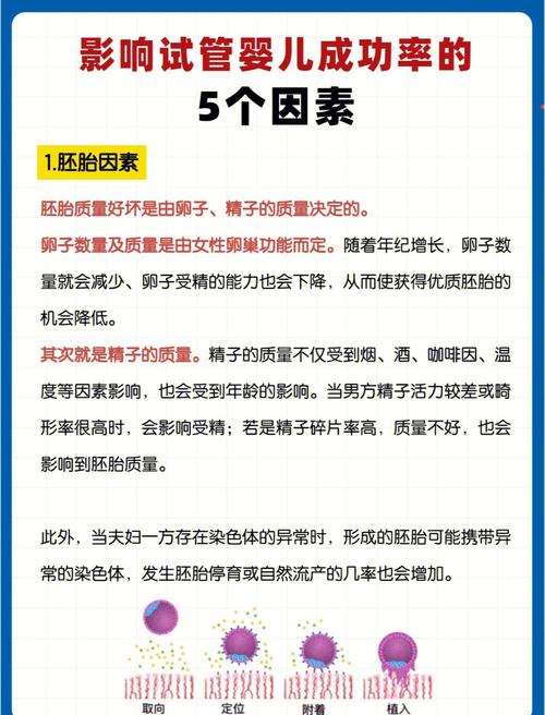 生殖医学
描述: 本文深入探讨北大试管婴儿成功率，分析年龄、子宫环境等影响因素，并展示最新数据。阐述技术进步、药物使用及心理状态对成功率的作用，助力生育困难家庭了解该技术，做出合适选择。