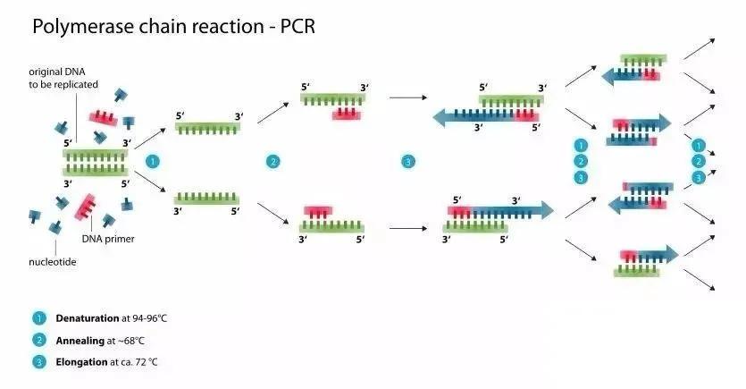 PGDP