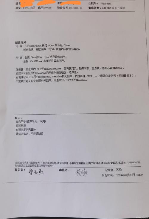 移植后超声检查