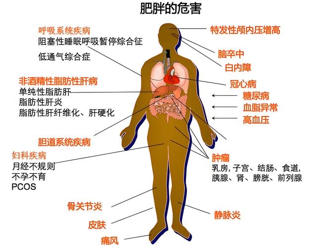 身体缺陷风险
