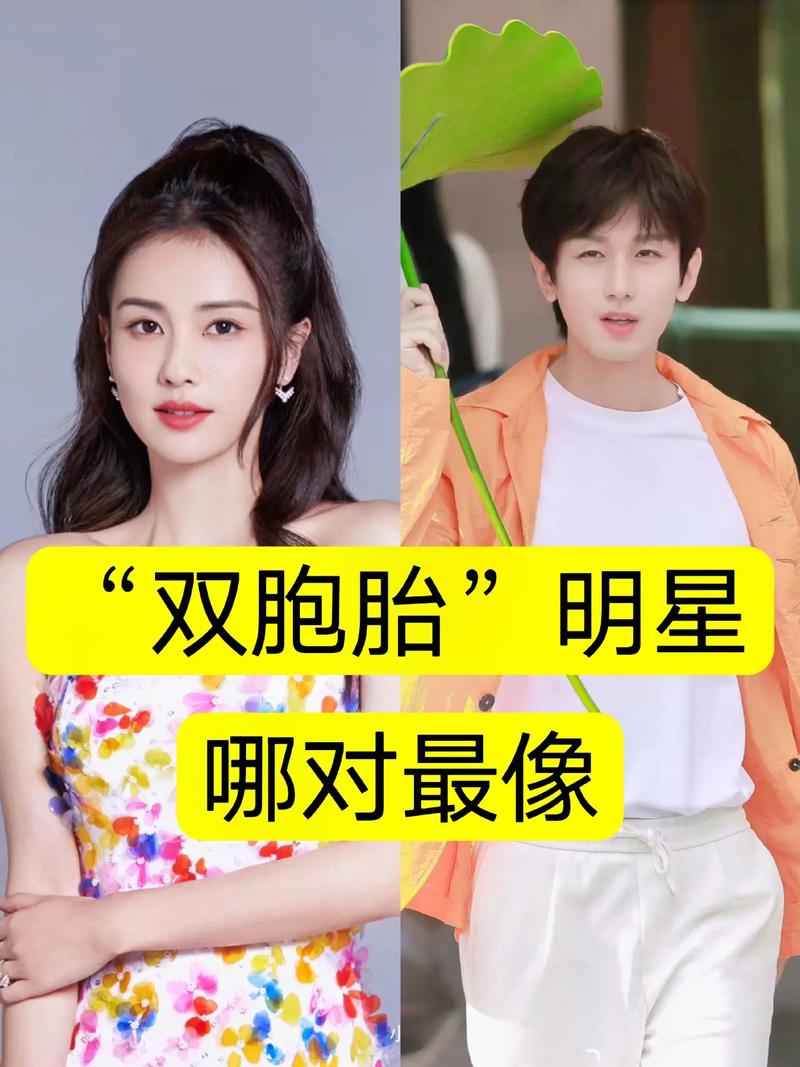 明星双胞胎