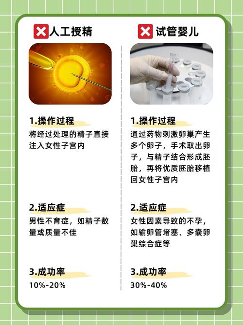 生殖健康

【描述】：本文详细探讨了刨妇产后女性进行试管婴儿治疗的时机、风险和成功率，为有需要的家庭提供参考。