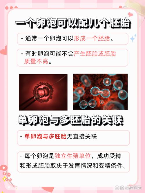 卵泡配对