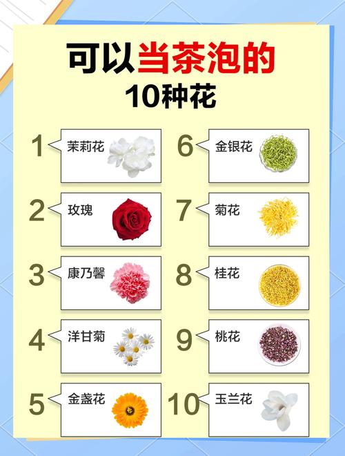 推荐种类