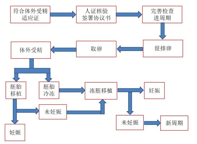 试管婴儿必要性