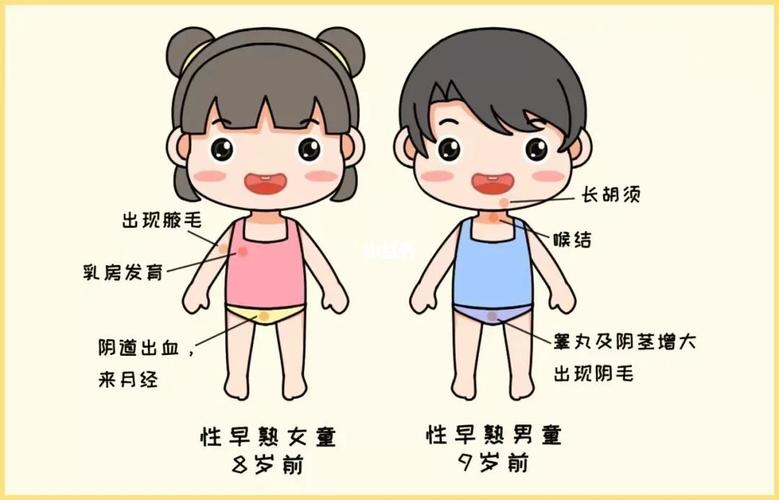 发育状态