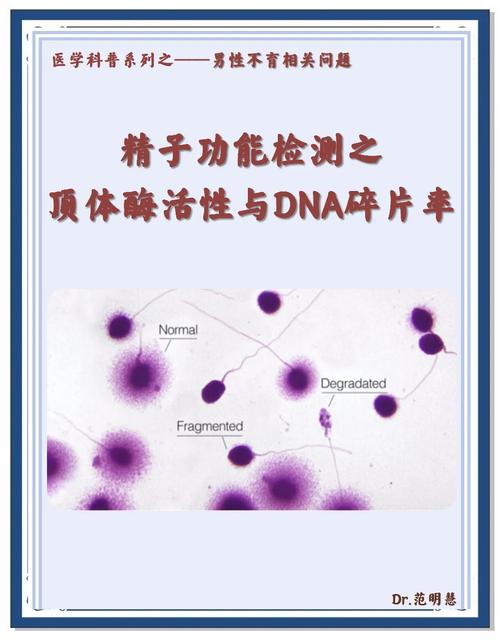 DNA完整性