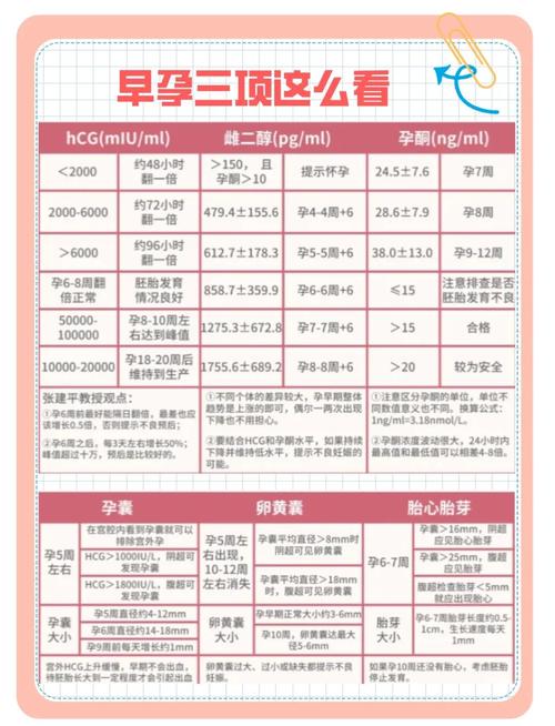  妊娠激素