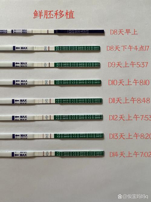 移植后测血