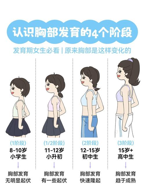 发育区别