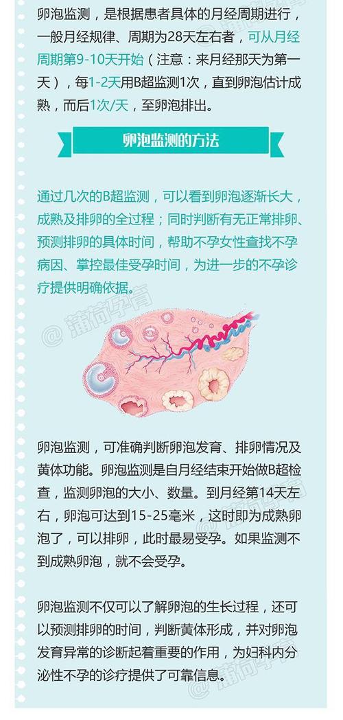 卵泡监测
描述: 本文深入探讨了试管婴儿成功率与卵泡直径的关系，介绍了不同卵泡直径对成功率的影响，还讲述了监测卵泡直径的方法、提高卵泡质量的措施，并分享案例，为关注试管婴儿的人群提供参考 。