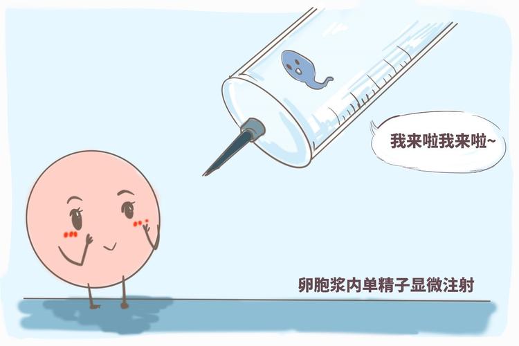 常规试管婴儿