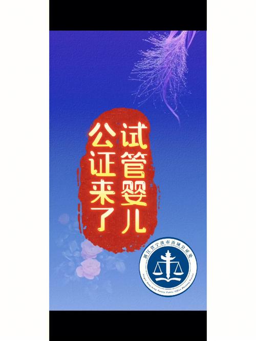  试管婴儿公证