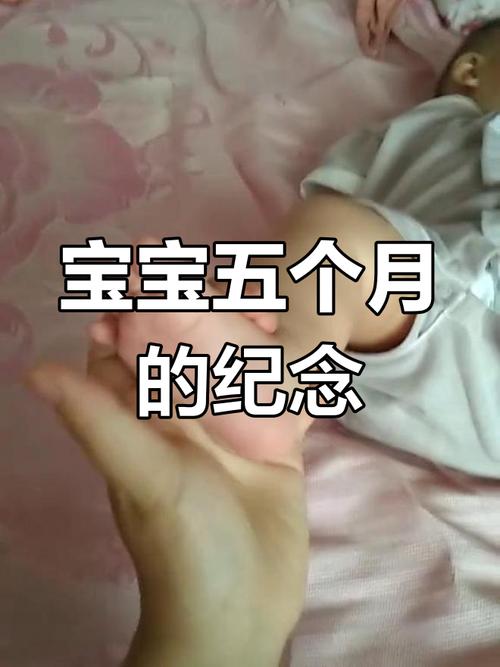 五个月宝宝