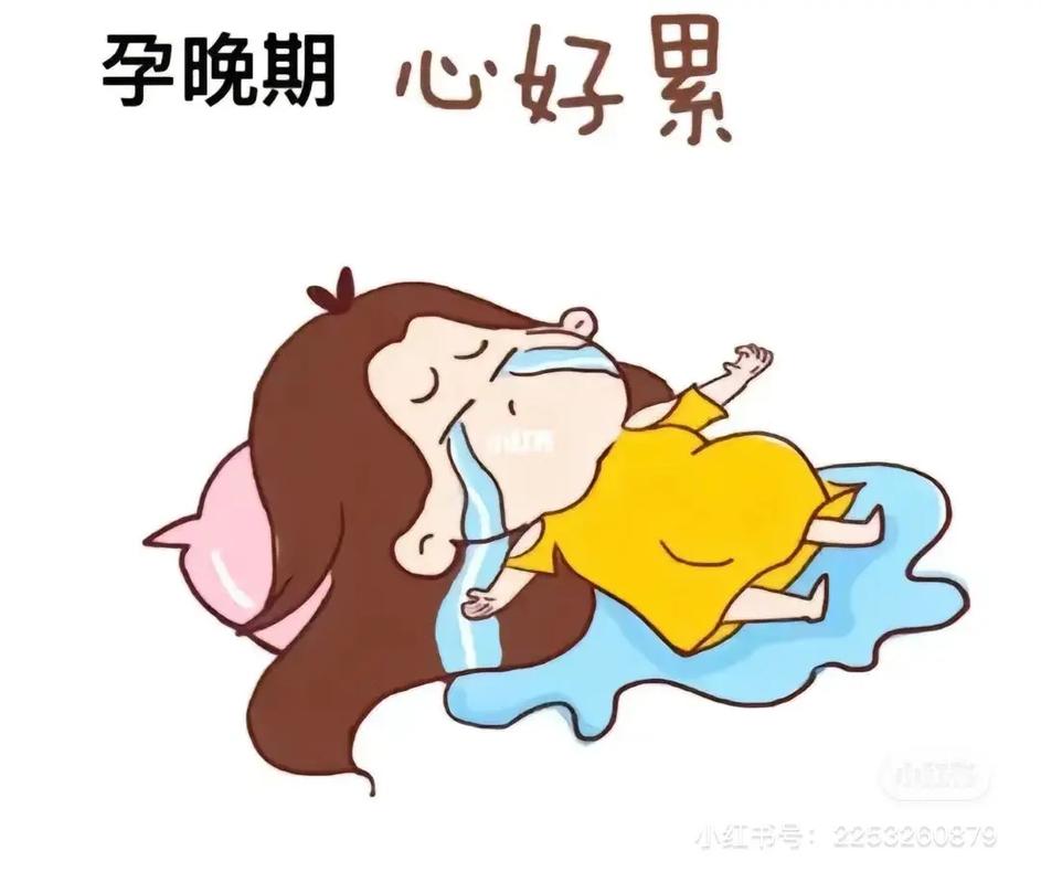 孕晚期