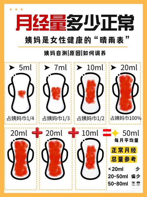  月经量变化