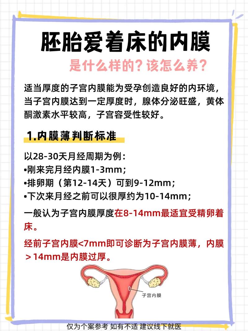  内膜着床