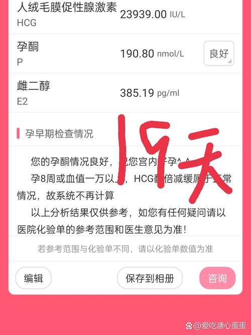 移植后十九天