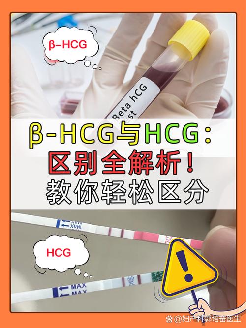 HCG灌注技术