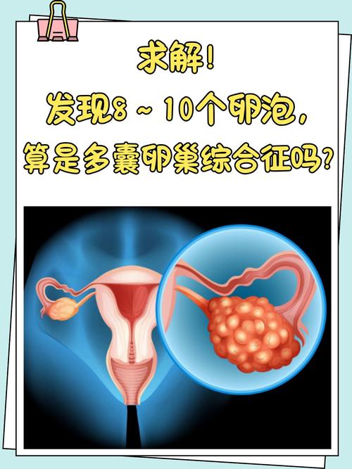 卵泡他人