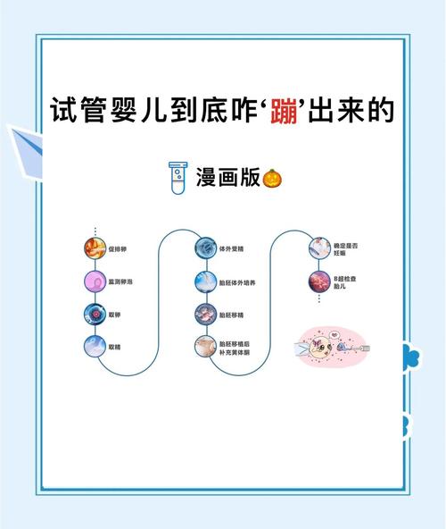 试管婴儿受孕过程