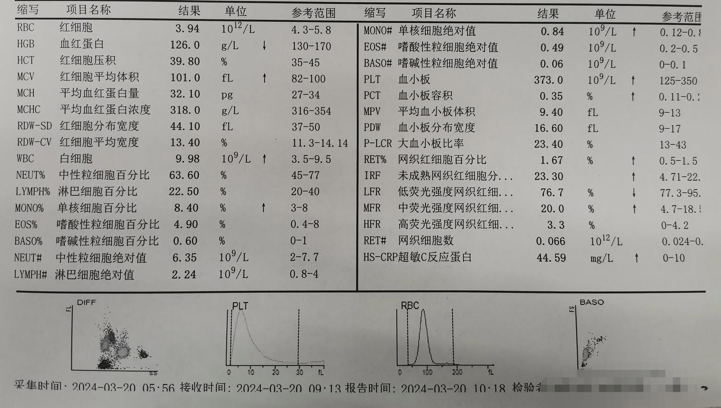  血液指标