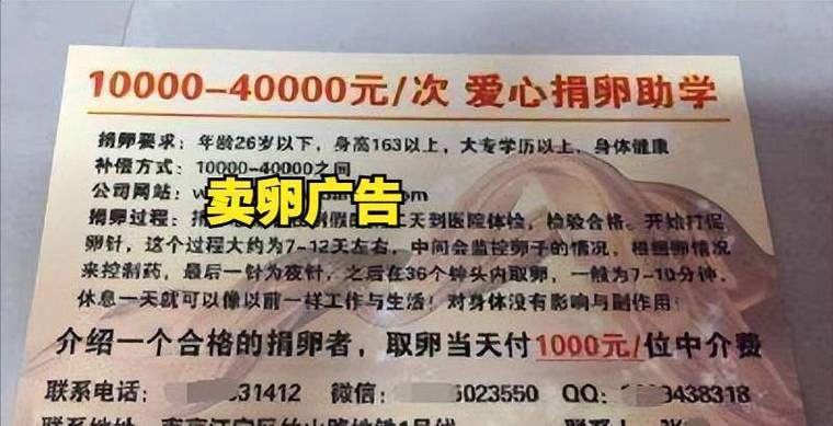 供卵者选择