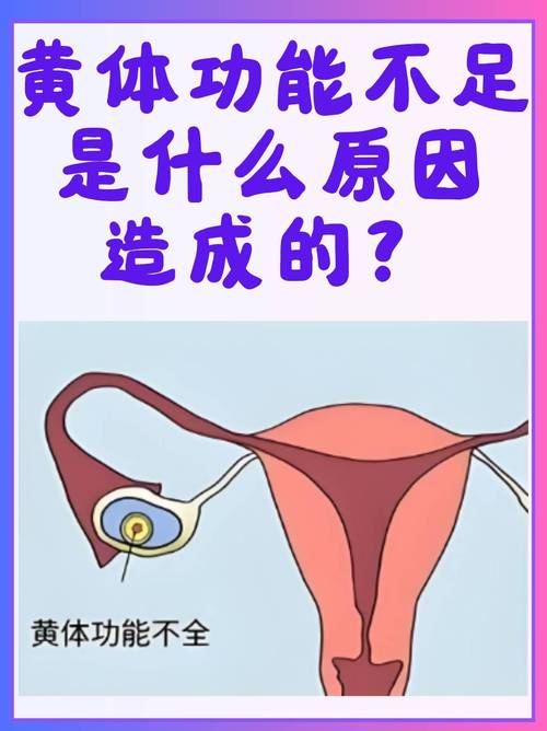 黄体功能亢进
