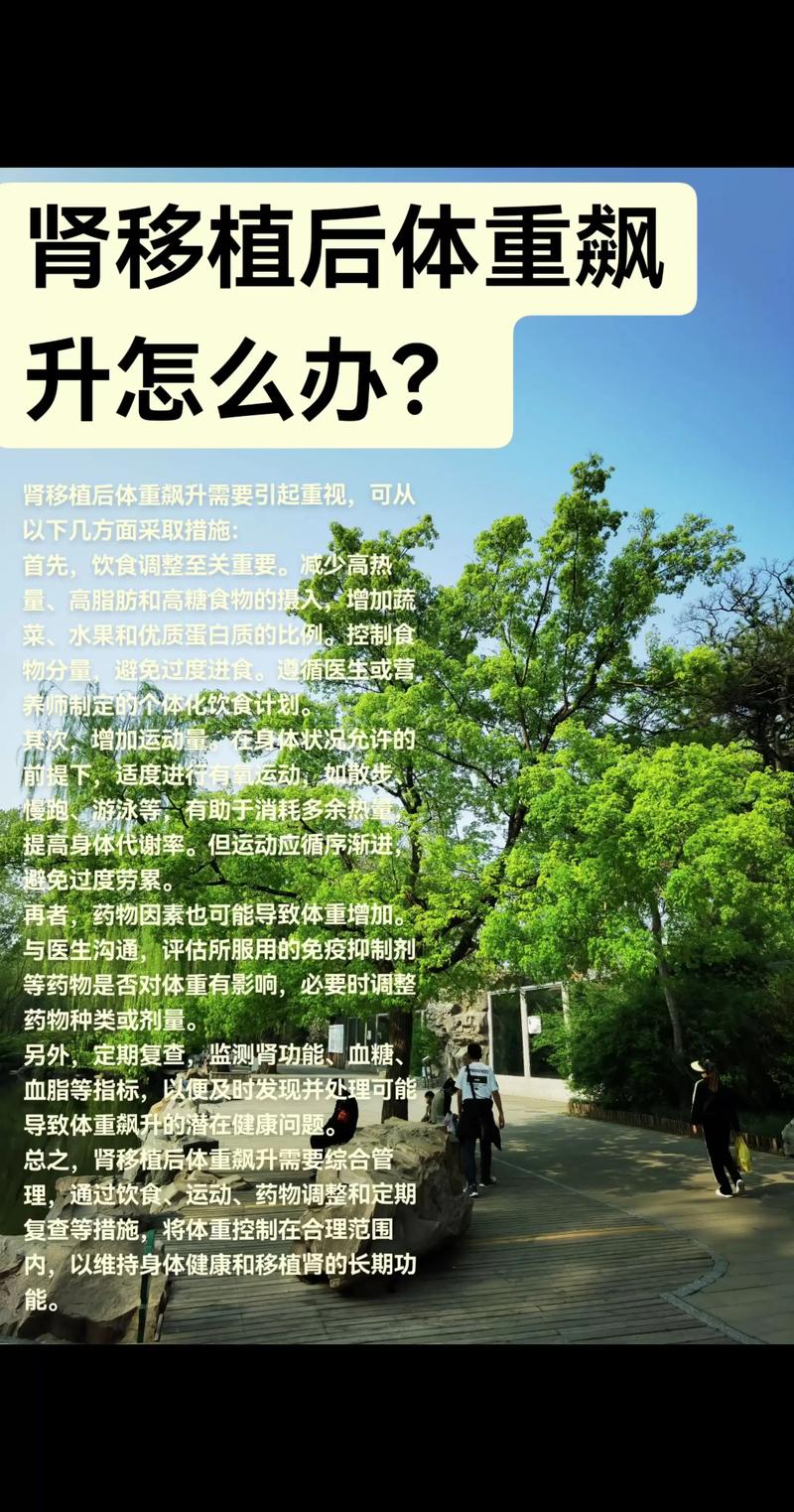 移植后体重增长