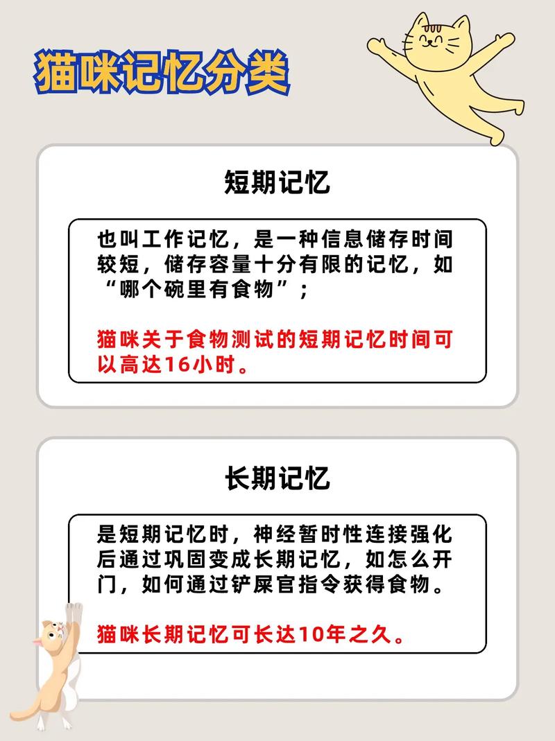 长期记忆