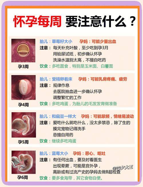 放胚胎注意事项