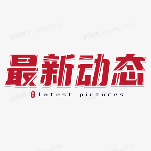 最新动态