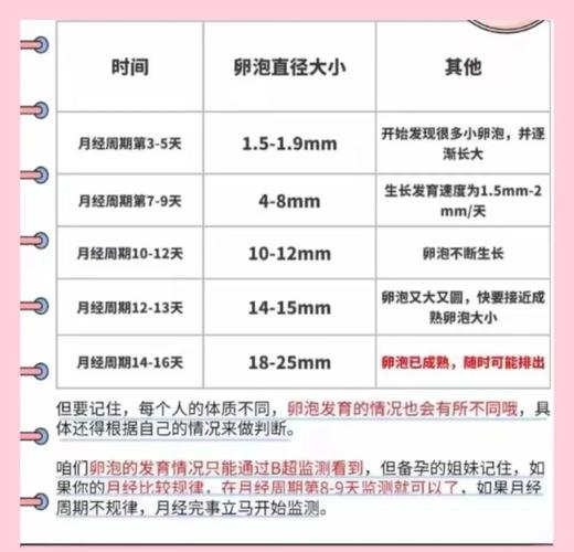 卵泡成熟率