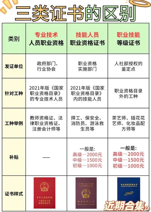 专业技能