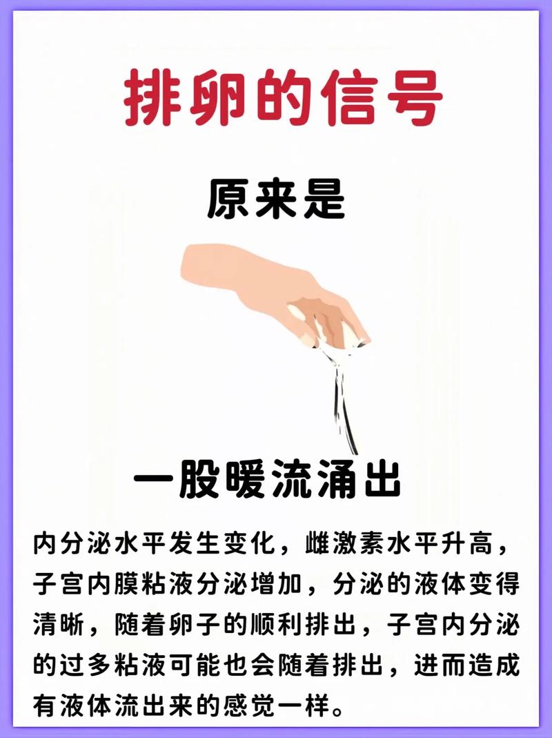  触发排卵