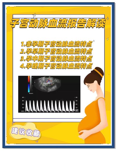 子宫血流