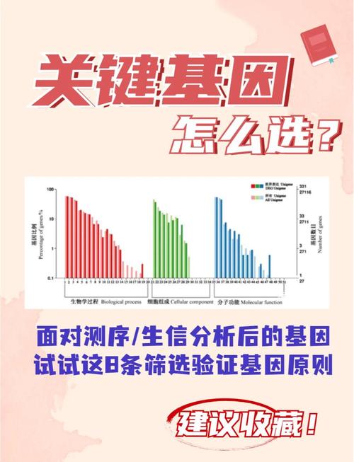  遗传筛选