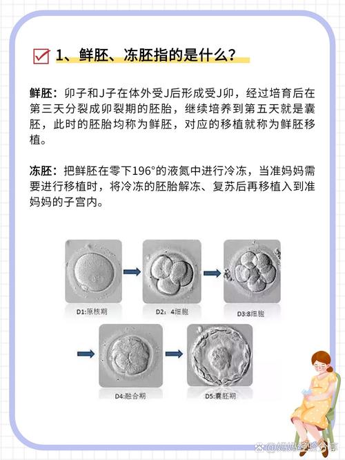  冻胚着床率