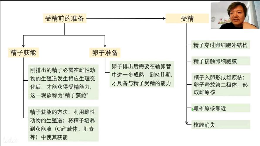 胚胎技术进展