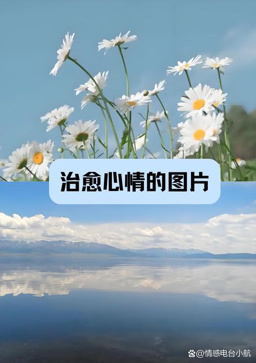 情感恢复