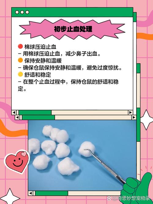 出血应对