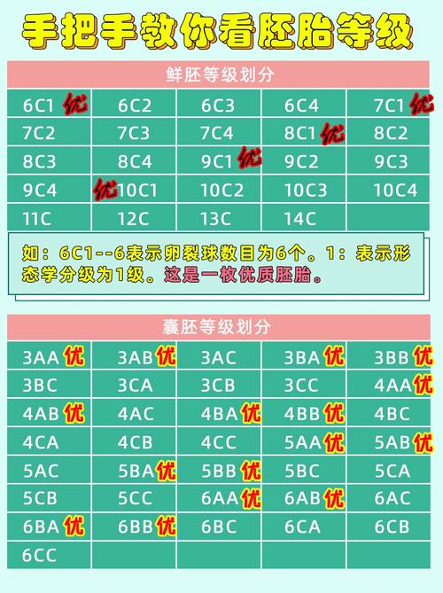 胚胎级别对照表
