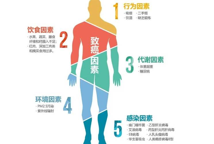 身体疾病因素