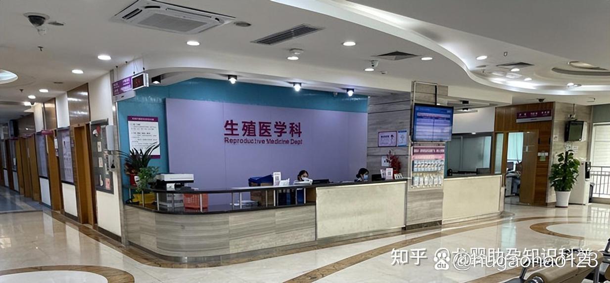 深圳试管中心