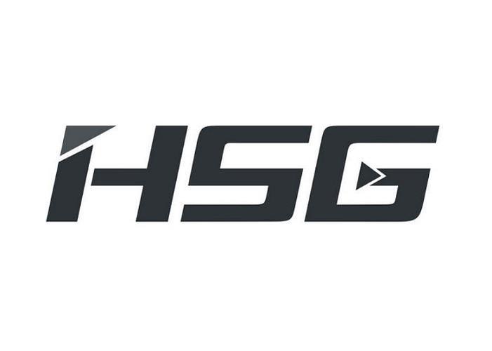  HSG